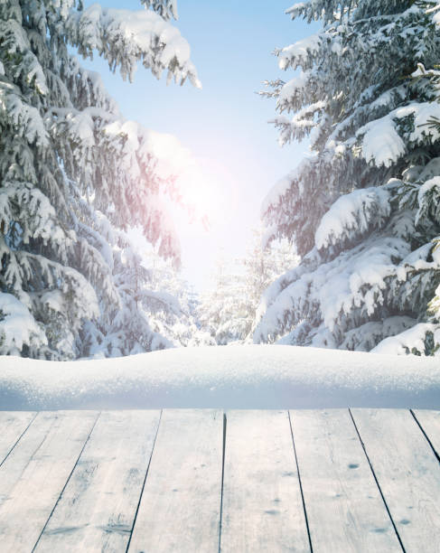 istock Winter background with snow-covered pine trees behind empty wooden planks 882307700