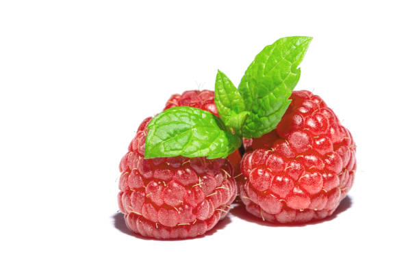 istock Raspberry with sprig of mint leaves on top macro close-up isolated on white background 882314486
