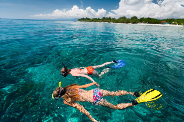 Two women snorkeling Two women snorkeling in the tropical sea at sunny day gili trawangan stock pictures, royalty-free photos & images