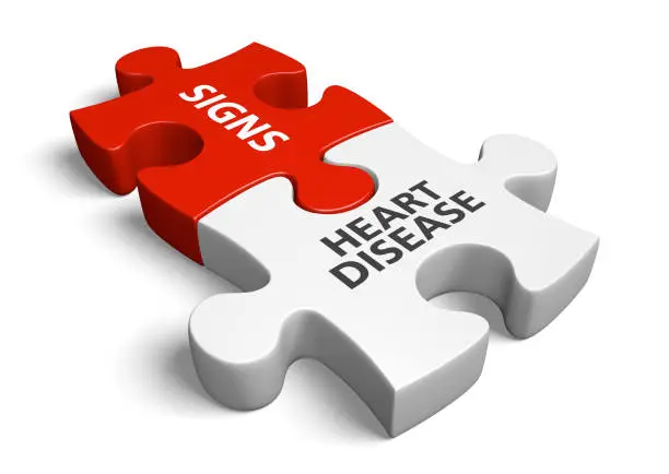 3D render of two connected puzzle pieces lying on a white background with the words "heart disease" and "signs".