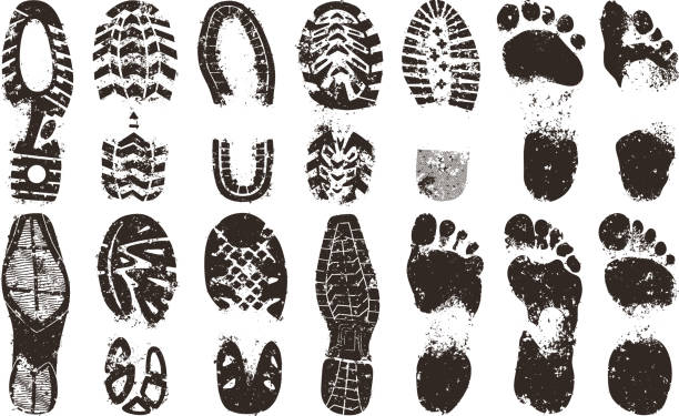 footprints  - mud stock-grafiken, -clipart, -cartoons und -symbole