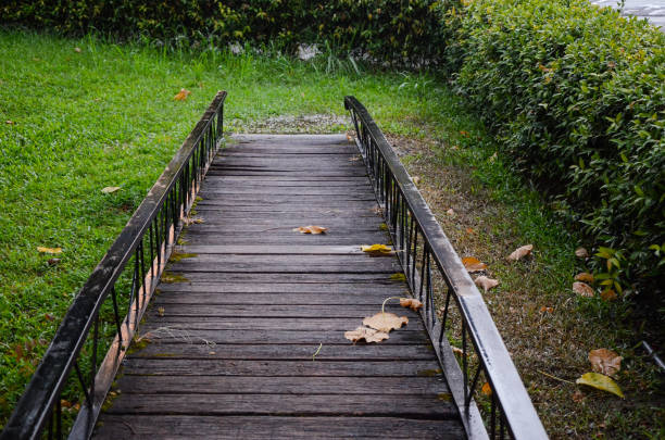 wooden walkway, nature, green, landscape, park, bridge, forest, natural, wood, wooden, water, travel, walk, tree, outdoor, summer, path, stream, background, way, beautiful, mountain, leaf, hiking