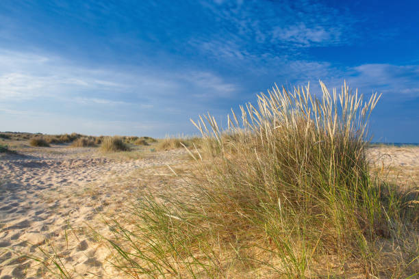 istock On the empty beach in Great Yarmouth 882330114