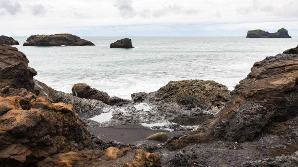 istock Atlantic ocean volcanic shore in Iceland 882334134