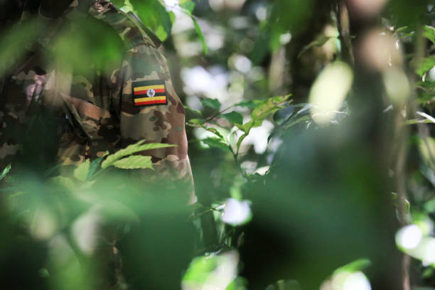 drapeau ougandais sur l’uniforme d’un ranger du parc national de kibale forest en ouganda - gorilla safari animals wildlife photography photos et images de collection