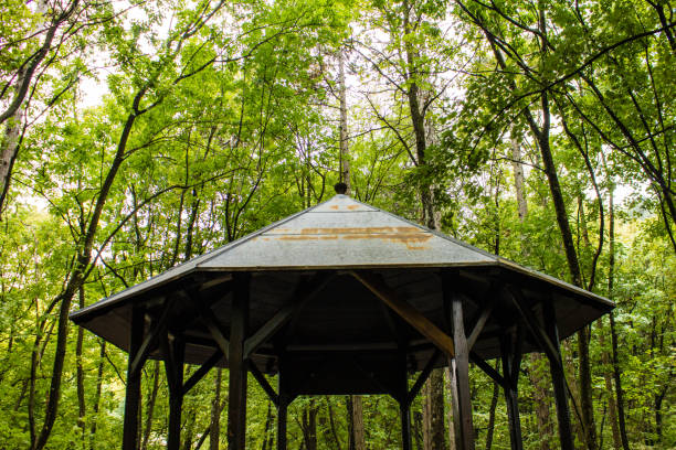 istock Forrest hut in late summer 882340294