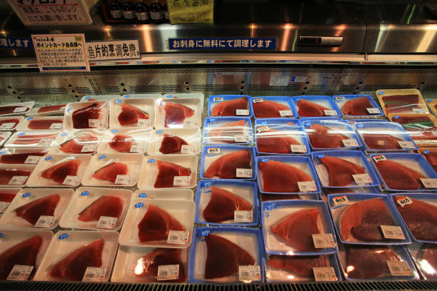 cutting of otoro from blue fin tuna for sashimi at the kitchen bar of sushi restaurant photo with indoor very low and dark lighting.