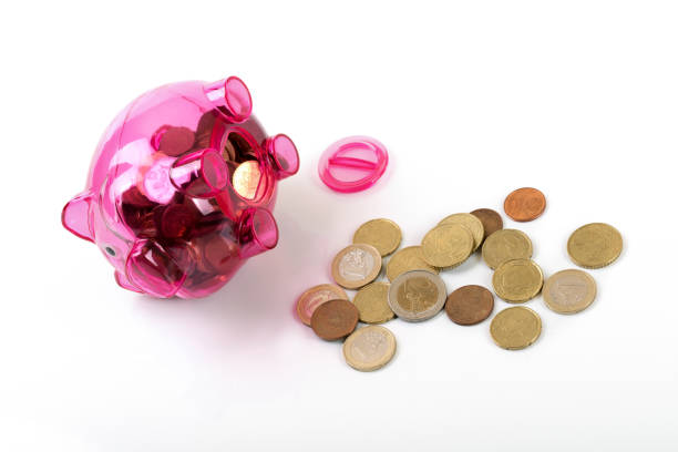 opened piggy bank with coins isolated on white background
