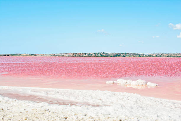 istock Pink salt lake. Spain. Torrevieja 882346198