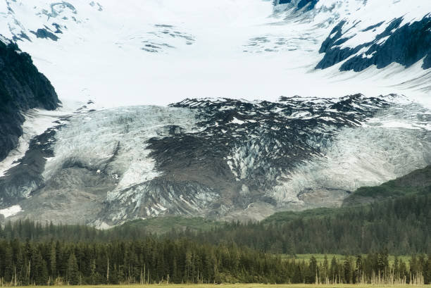 scenic view of large valley glacier in college fjord, prince william sound, alaska - prince of wales imagens e fotografias de stock