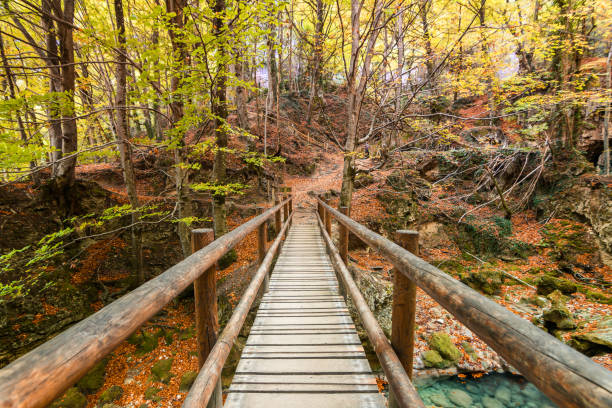 istock colorful autumn landscape at urederra source, Spain 882353870