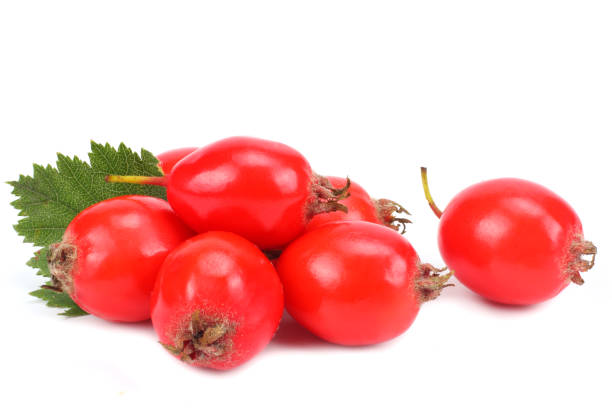 istock hawthorn berry isolated on white. Clipping Path 882354450