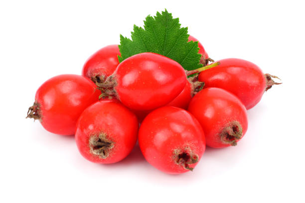 istock hawthorn berry isolated on white. Clipping Path 882354610