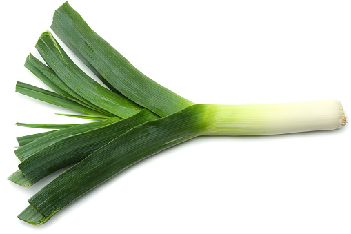 leek isolated on white background top view