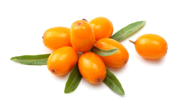 istock Sea buckthorn with leaf isolated on white background macro 882354918
