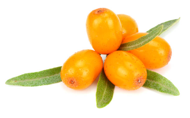 istock Sea buckthorn with leaf isolated on white background macro 882354932