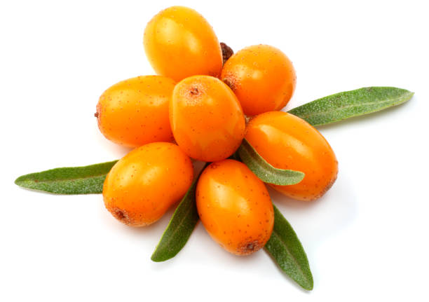 istock Sea buckthorn with leaf isolated on white background macro 882354952