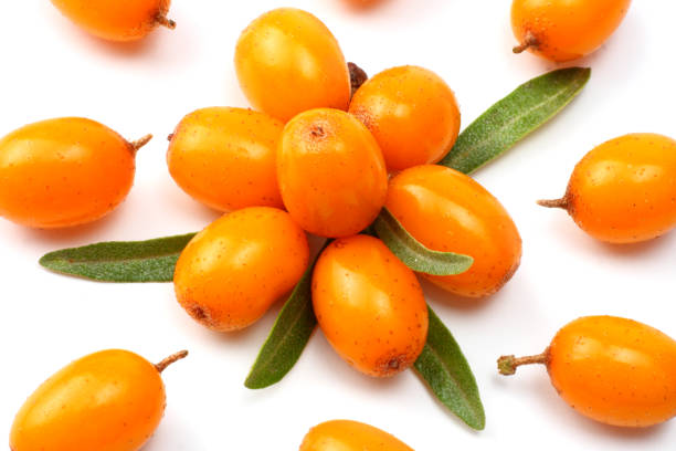 istock Sea buckthorn with leaf isolated on white background macro 882354966