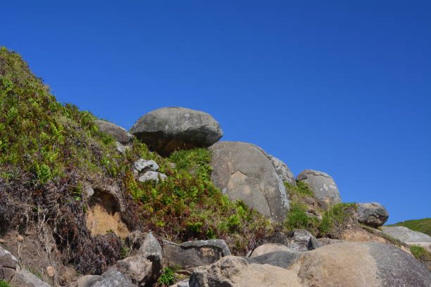 istock The beautiful beaches of Imbituba 882357878
