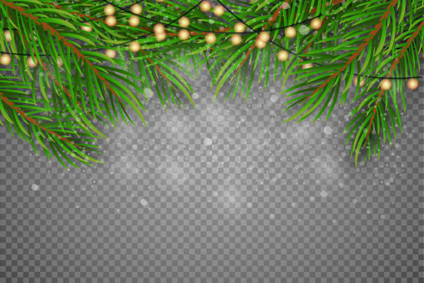 illustrations, cliparts, dessins animés et icônes de décoration de noël. branches vertes d’un sapin de noël sur un fond de bois. vector eps10 - eps10 decoration transparent green