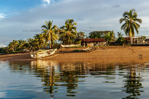 Tropical landscape showcasing an aerial view of a dense palm tree forest and a meandering river nestled within Siargao Island's vibrant greenery.