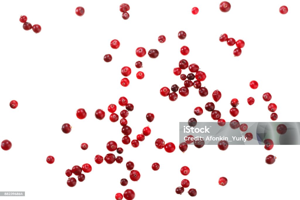 Berries cranberries isolated on white background. Cranberry Stock Photo