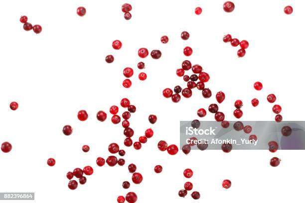 Berries Cranberries Isolated On White Background Stock Photo - Download Image Now - Cranberry, White Background, Cut Out