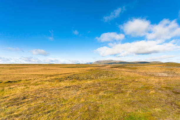 istock flat landscape in Iceland in sunny september day 882396942