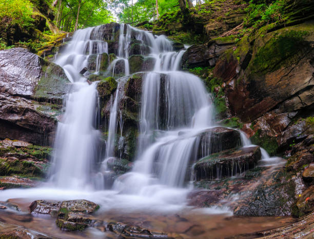 istock beautiful waterfall in the forest 882406060