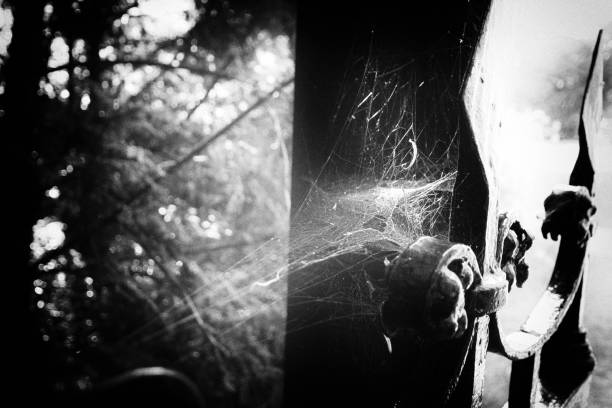 istock Scary metal gate with spiders webs 882406284