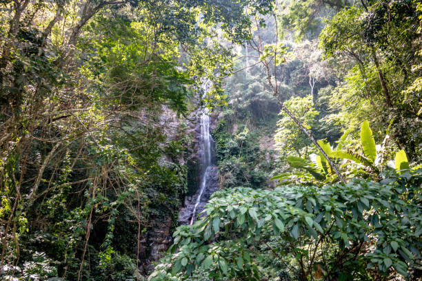 istock Touch Touch Waterfall - Sao Sebastiao, Sao Paulo, Brazil 882444142