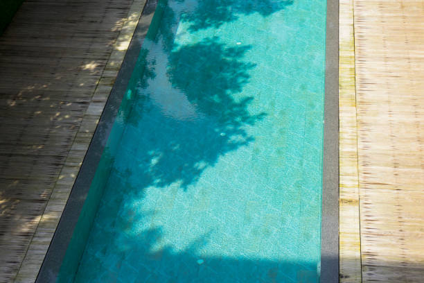 istock top view of swimming pool 882448120