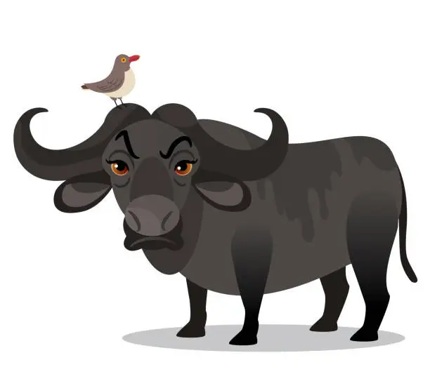 Vector illustration of African Buffalo