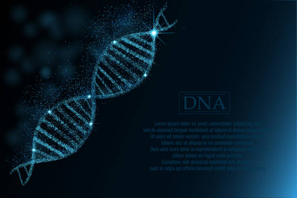 ilustrações, clipart, desenhos animados e ícones de sequência de dna, dna código estrutura com brilho. - cytosine