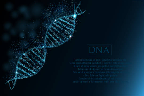 DNA sequence, DNA code structure with glow. DNA sequence, DNA code structure with glow. Science concept background. Nano technology. Vector illustration, dark blue background with space for text human genome code stock illustrations