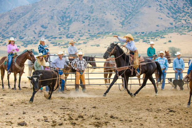 istock Cowgirl Lassoing a Steer 882474602