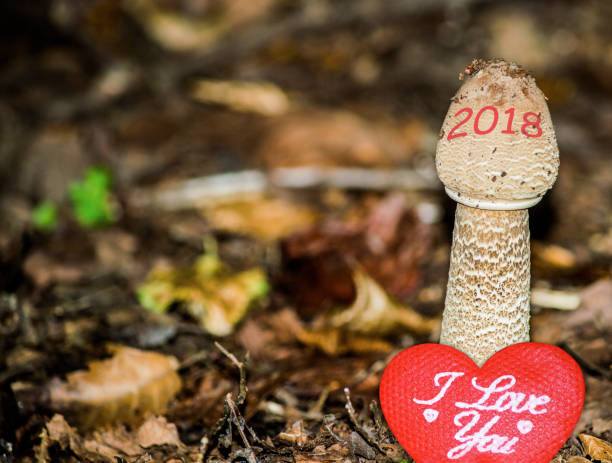 istock Happy New Year 2018 image. 2018 is growing up and bringing love. A conceptual abstract background photo of time, change, love, and healthy lifestyle concepts. 882474816