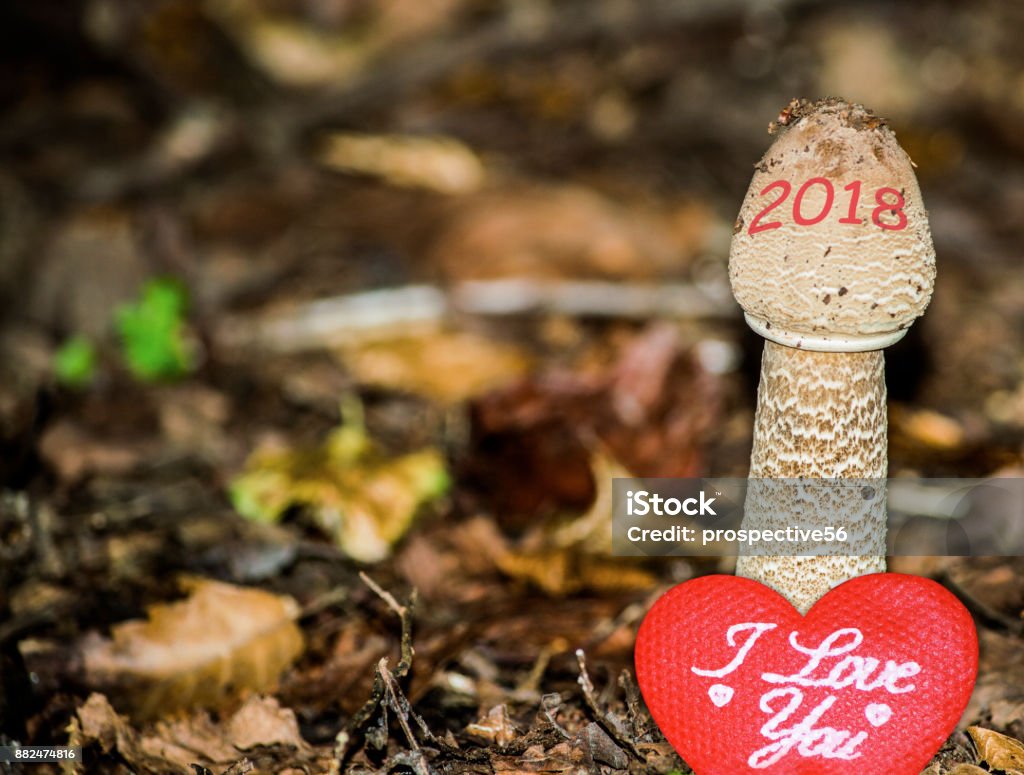 Happy New Year 2018 image. 2018 is growing up and bringing love. A conceptual abstract background photo of time, change, love, and healthy lifestyle concepts. This baby forest mushrrom is growing up fast from the ground with the written 2018 term on its cap. This conceptual photo represents the countdown progress of the coming New Year 2018. The picture also conveys the concepts of love, changes in the nature, and healthy organice food eating for the human beings in the New Year. Heart Shape Stock Photo