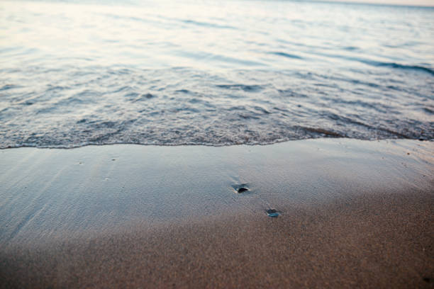 Sand on the sea beach