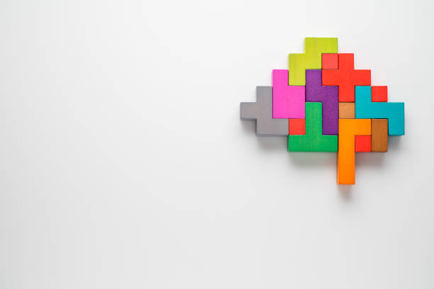 cérebro humano é feito de blocos de madeira coloridos. - jogo de vídeo de empilhar blocos - fotografias e filmes do acervo