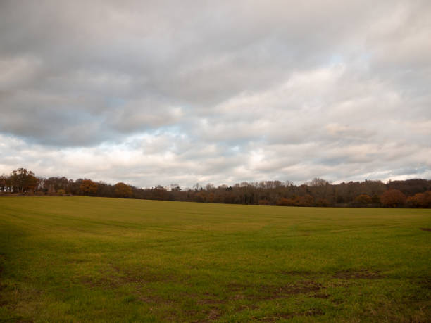 istock empty grass land plain country no people green cloudy sky 882487920