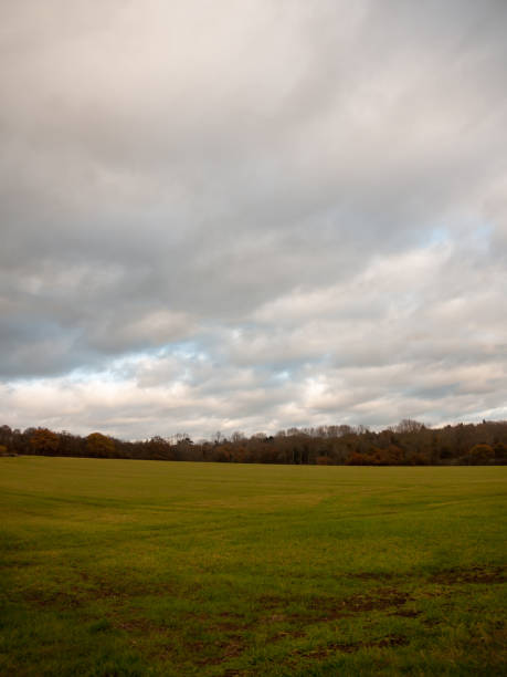 istock empty grass land plain country no people green cloudy sky 882487922