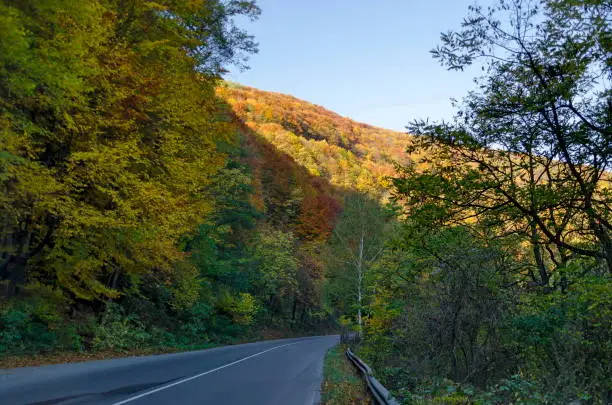 Photo of Beauty nook  for rest and walk with autumnal foliage, Rila mountain