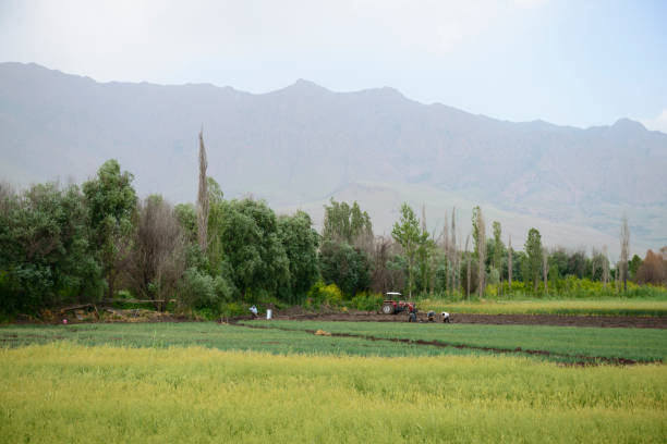A'nyemaqen National Geological Park in Maqin County, Guoluo  Prefecture, Qinghai Province, China, Asia