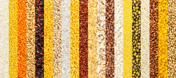 istock Collection of different groats backgrounds, cereals textures collection. Closeup 882516682