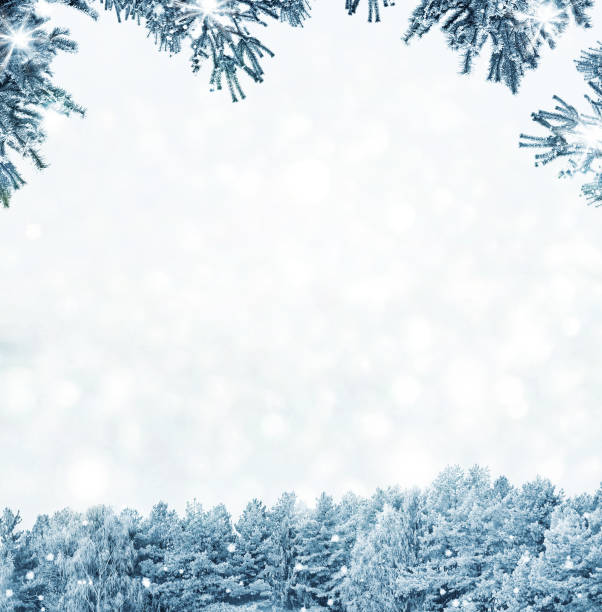 istock winter forest with snow covered trees. 882516860