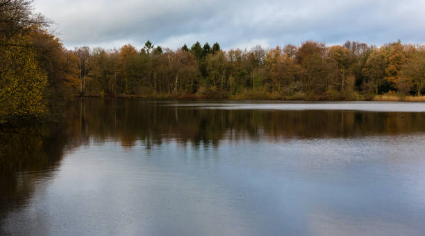 istock lake in November - autumn colors 882517156
