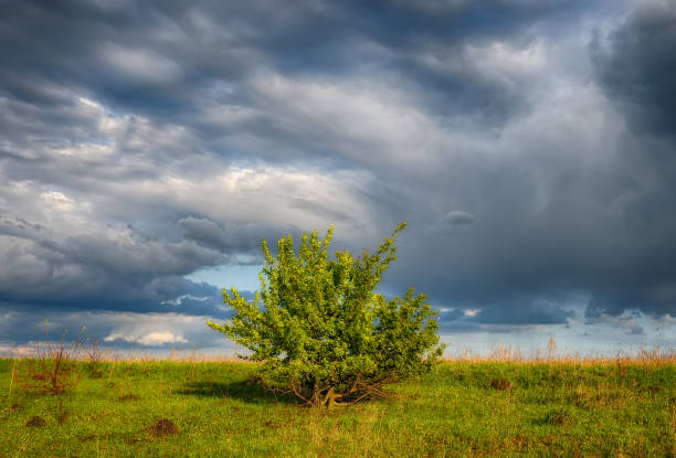 istock hilly field. beautiful sky over a hilly field 882517778