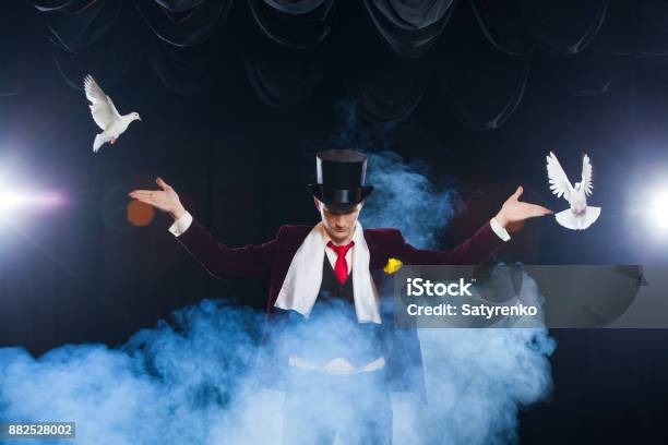 The Magician With A Two Flying White Doves On A Black Background Shrouded In A Beautiful Mysterious Smoke Stock Photo - Download Image Now