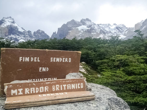 istock Torres Del Paine 882530600